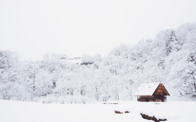 A picture of a cabin covered in snow.